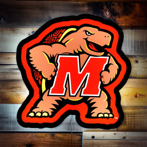 Collegiate Collection - Maryland Terrapins