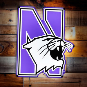 Collegiate Collection- Northwestern Wildcat