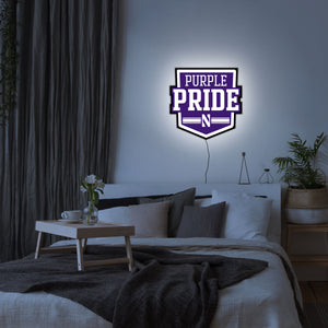 Collegiate Collection- Northwestern Purple Pride