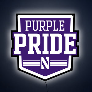 Collegiate Collection- Northwestern Purple Pride