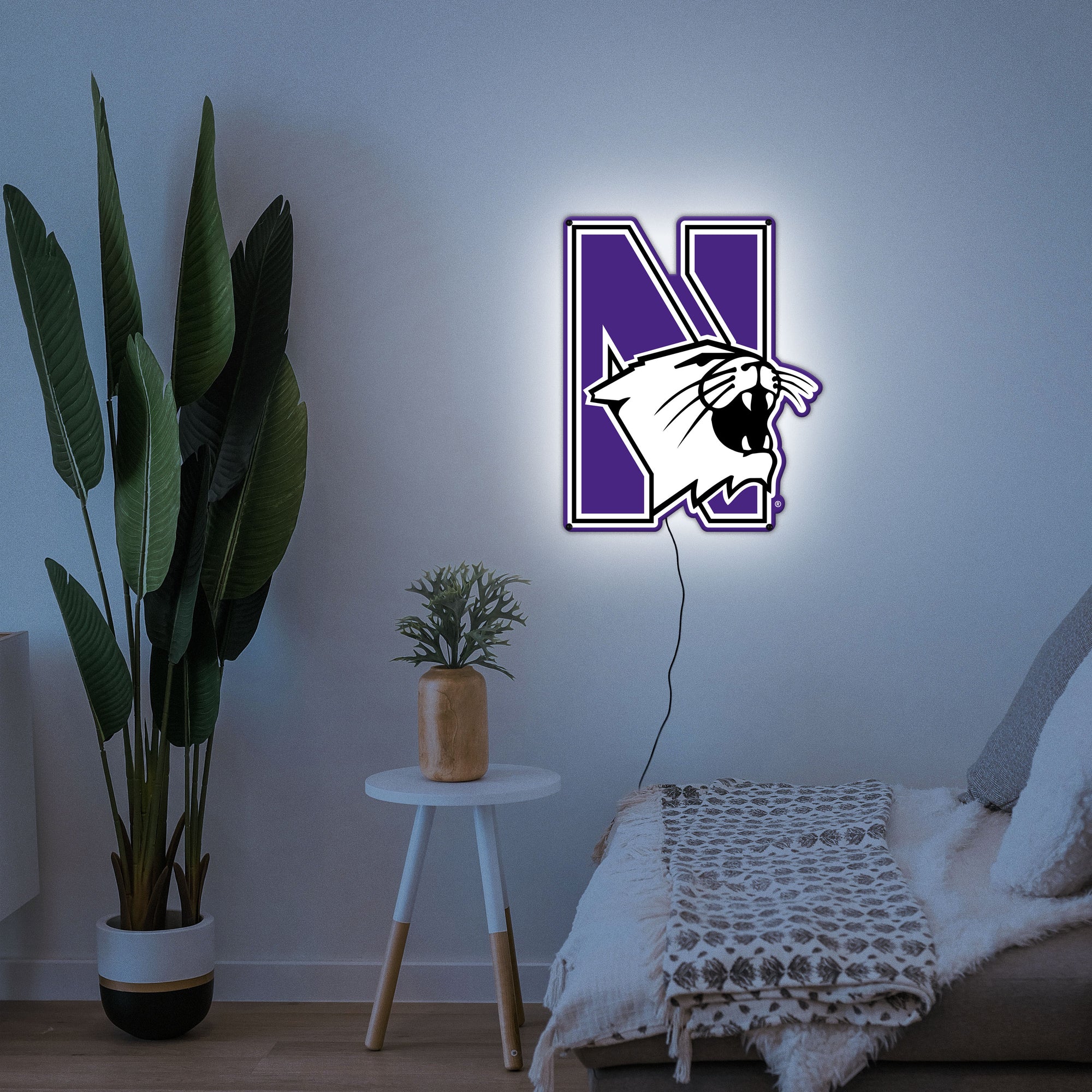 Collegiate Collection- Northwestern Wildcat