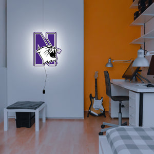 Collegiate Collection- Northwestern Wildcat