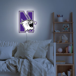 Collegiate Collection- Northwestern Wildcat