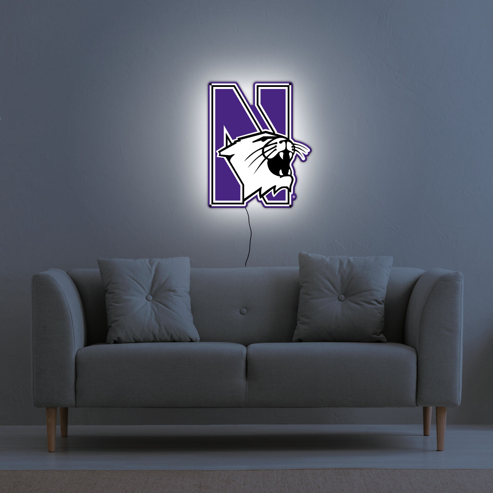 Collegiate Collection- Northwestern Wildcat