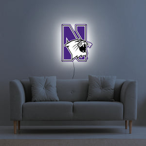 Collegiate Collection- Northwestern Wildcat