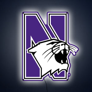 Collegiate Collection- Northwestern Wildcat