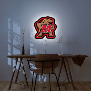 Collegiate Collection - Maryland Terrapins