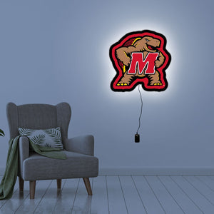 Collegiate Collection - Maryland Terrapins