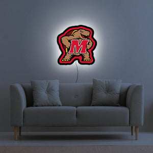 Collegiate Collection - Maryland Terrapins