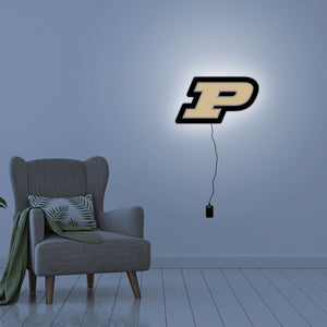 Purdue P LED