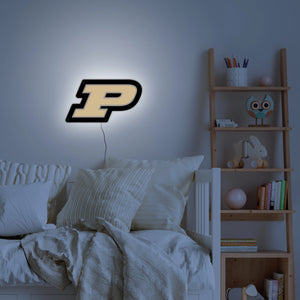 Purdue P LED