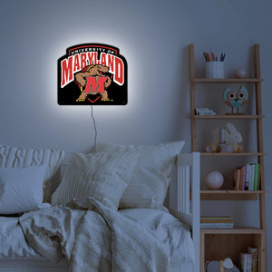 Collegiate Licensed Maryland Terrapins LED