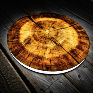 Tree Stump LED Wall Art