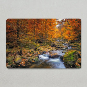 Fall Forest Metal Wall Art