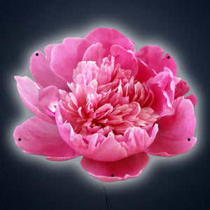 Peony LED Wall Art