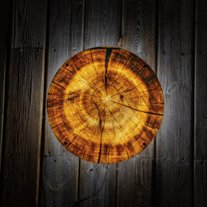 Tree Stump LED Wall Art