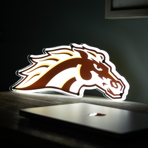 Western Michigan Bronco LED Wall Art